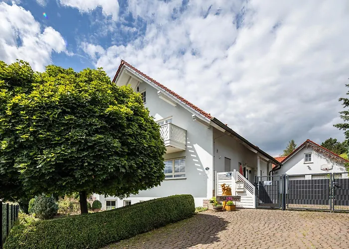 Sandhasen Lauterbach